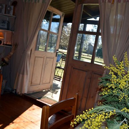 Gite Foret Landaise Sainte-Eulalie-en-Born Dış mekan fotoğraf