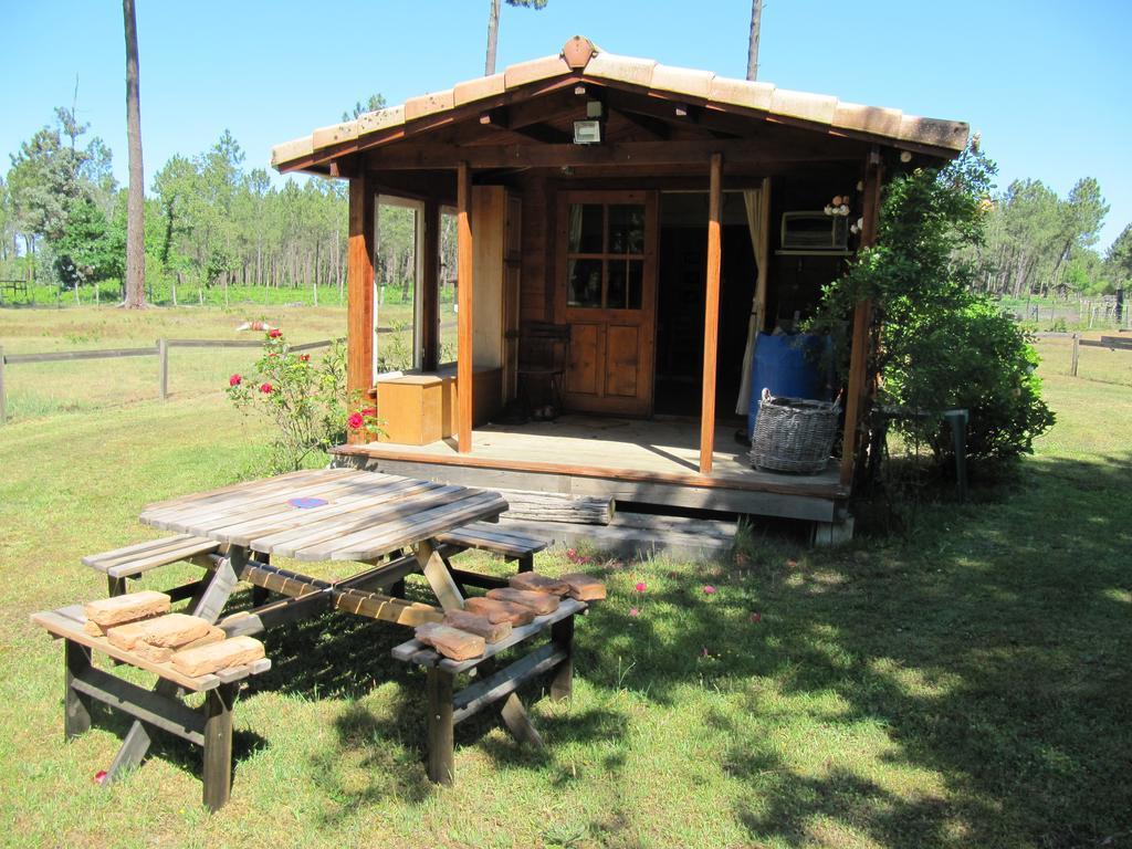 Gite Foret Landaise Sainte-Eulalie-en-Born Dış mekan fotoğraf