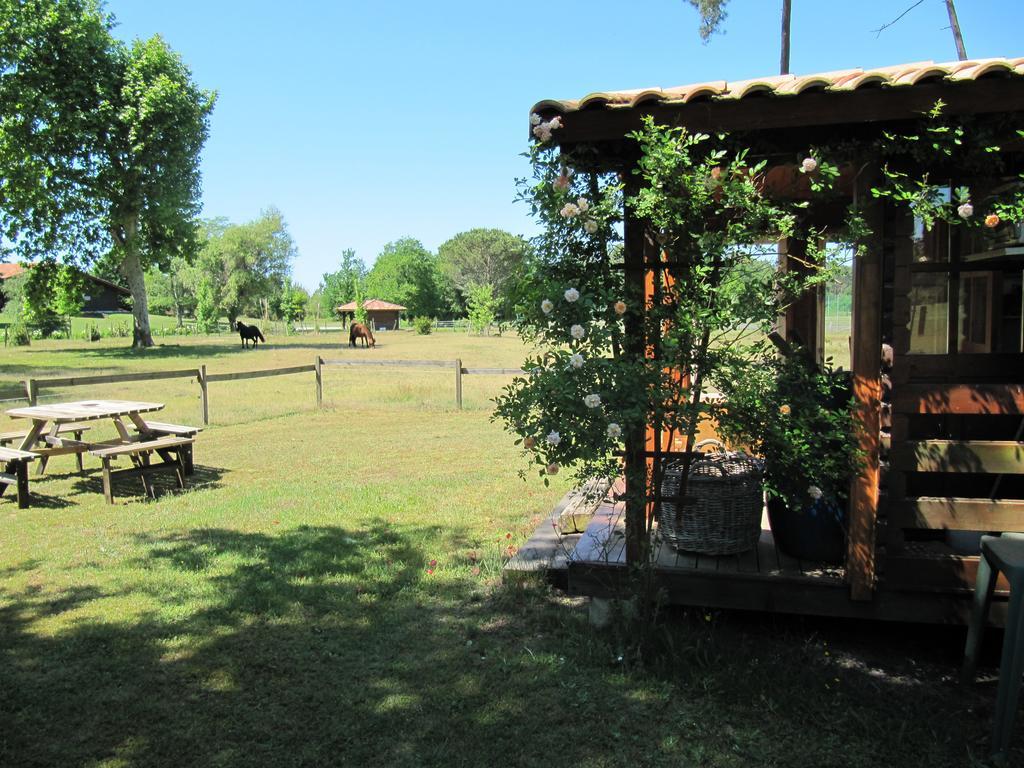 Gite Foret Landaise Sainte-Eulalie-en-Born Dış mekan fotoğraf