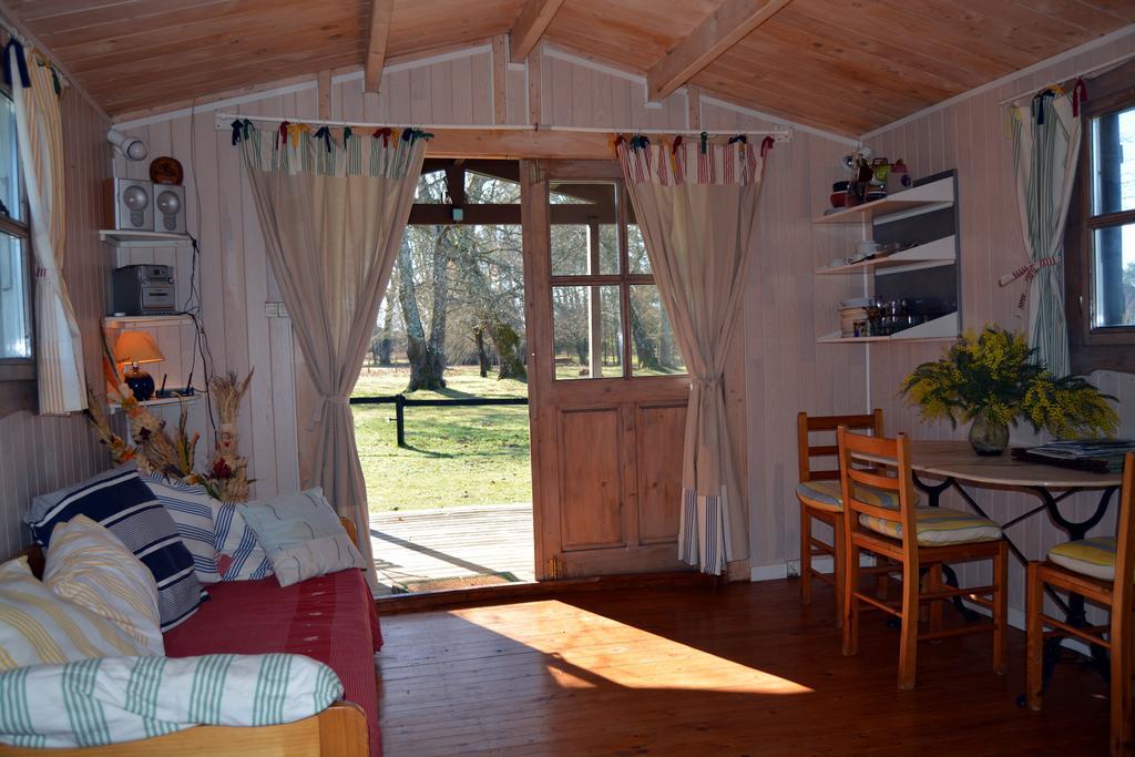 Gite Foret Landaise Sainte-Eulalie-en-Born Dış mekan fotoğraf