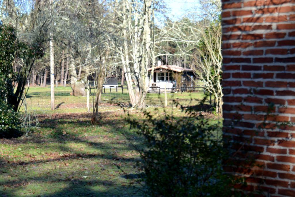 Gite Foret Landaise Sainte-Eulalie-en-Born Dış mekan fotoğraf